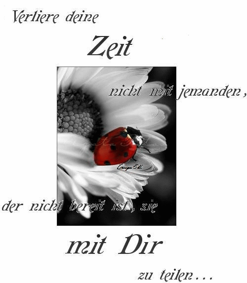 ext. Bild