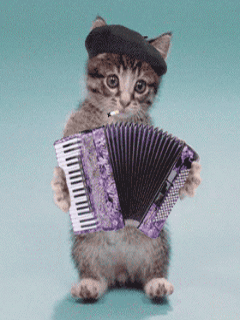 http://img22.dreamies.de/img/201/b/zaj8mp3403y.gif