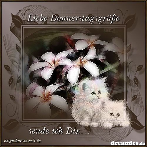img22.dreamies.de/img/21/b/9pamnjuov6v.jpg