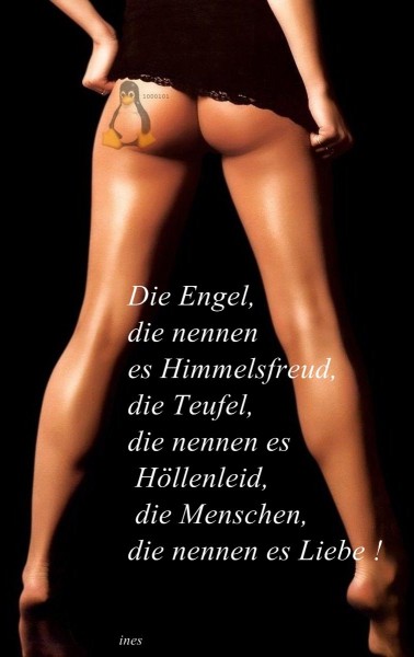ext. Bild
