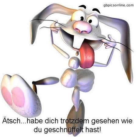 ext. Bild